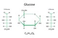 Glucose chemical formulas. Molecular structure. Science element. Organic compound. Vector illustration. Stock image.