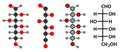 Glucose (D-glucose, dextrose) grape sugar molecule