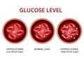 Glucose level in the blood vessel