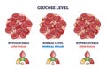 Glucose level with low, normal and high sugar in blood outline diagram