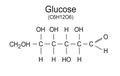 Glucose molecule, vector chemical formula