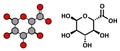 Glucuronic acid molecule. Glucuronidation of xenobiotics plays role in drug metabolism, giving glucuronides
