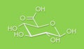 Glucuronic acid molecule. Glucuronidation of xenobiotics plays role in drug metabolism, giving glucuronides. Skeletal formula.