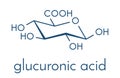 Glucuronic acid molecule. Glucuronidation of xenobiotics plays role in drug metabolism, giving glucuronides. Skeletal formula. Royalty Free Stock Photo