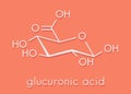 Glucuronic acid molecule. Glucuronidation of xenobiotics plays role in drug metabolism, giving glucuronides. Skeletal formula. Royalty Free Stock Photo