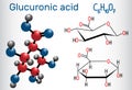 Glucuronic acid molecule, plays an important role in the metabolism of microorganisms, plants and animals. Structural chemical Royalty Free Stock Photo