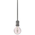 hanging vintage light bulb, lamp in rose