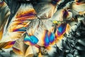 Glutamate crystals in polarized light Royalty Free Stock Photo