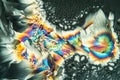 Glutamate crystals in polarized light Royalty Free Stock Photo
