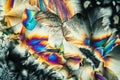 glutamate crystals in polarized light Royalty Free Stock Photo