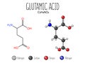 Glutamic acid amino acid representation.