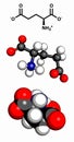 Glutamic acid l-glutamic acid, Glu, E amino acid and neurotransmitter molecule.