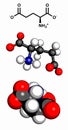 Glutamic acid (Glu, E, glutamate) amino acid and neurotransmitter, molecular model. Amino acids are the building blocks of all