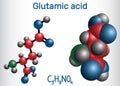 Glutamic acid L- glutamic acid, Glu, E aliphatic amino acid molecule. Molecule model Royalty Free Stock Photo