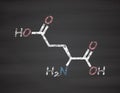 Glutamic acid (l-glutamic acid, Glu, E) amino acid and neurotransmitter molecule