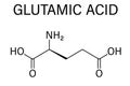 Glutamic acid or l-glutamic acid, Glu, E, amino acid and neurotransmitter molecule. Skeletal formula. Royalty Free Stock Photo
