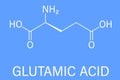Glutamic acid or l-glutamic acid, Glu, E, amino acid and neurotransmitter molecule. Skeletal formula. Royalty Free Stock Photo