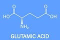 Glutamic acid or l-glutamic acid, Glu, E, amino acid and neurotransmitter molecule. Skeletal formula. Royalty Free Stock Photo