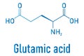 Glutamic acid or l-glutamic acid, Glu, E, amino acid and neurotransmitter molecule. Skeletal formula. Royalty Free Stock Photo