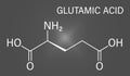 Glutamic acid or l-glutamic acid, Glu, E, amino acid and neurotransmitter molecule. Skeletal formula. Royalty Free Stock Photo