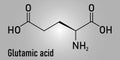 Glutamic acid or l-glutamic acid, Glu, E, amino acid and neurotransmitter molecule. Skeletal formula. Royalty Free Stock Photo