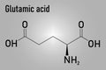 Glutamic acid or l-glutamic acid, Glu, E, amino acid and neurotransmitter molecule. Skeletal formula. Royalty Free Stock Photo