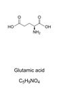 Glutamic acid molecule, skeletal formula Royalty Free Stock Photo