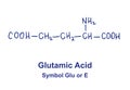 Glutamin asid chemical structure. Vector illustration Hand drawn Royalty Free Stock Photo