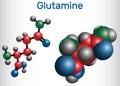 Glutamine Gln , Q amino acid molecule. Structural chemical formula and molecule model