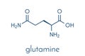 Glutamine l-glutamine, Gln, Q amino acid molecule. Skeletal formula. Royalty Free Stock Photo