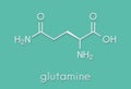 Glutamine l-glutamine, Gln, Q amino acid molecule. Skeletal formula. Royalty Free Stock Photo