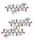 Glutathione antioxidant peptide, skeletal formula. Shown in the reduced (upper) and oxidized form (lower