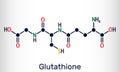 Glutathione, GSH, C10H17N3O6S molecule. It is an important antioxidant in plants, animals and some bacteria. Structural chemical