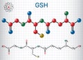 Glutathione GSH molecule, is an important antioxidant in plant Royalty Free Stock Photo