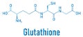 Glutathione, reduced glutathione, GSH, endogenous antioxidant molecule. Skeletal formula. Royalty Free Stock Photo