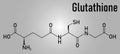 Glutathione, reduced glutathione, GSH, endogenous antioxidant molecule. Skeletal formula. Royalty Free Stock Photo