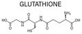 Glutathione, reduced glutathione, GSH, endogenous antioxidant molecule. Skeletal formula. Royalty Free Stock Photo