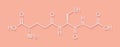 Glutathione reduced glutathione, GSH endogenous antioxidant molecule. Skeletal formula.