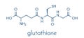 Glutathione reduced glutathione, GSH endogenous antioxidant molecule. Skeletal formula.