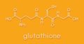 Glutathione reduced glutathione, GSH endogenous antioxidant molecule. Skeletal formula.