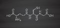 Glutathione (reduced glutathione, GSH) endogenous antioxidant molecule