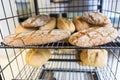 Gluten free bread Royalty Free Stock Photo