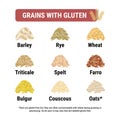 Gluten-free and containing gluten grains infographic. Healthy and unhealthy grains and seeds by celiac disease. Square format.