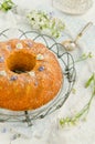 Gluten free cornmeal orange cake