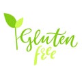 Gluten free hand drawn logo, label, with leaf and sprout. Vector illustration eps 10 for food and drink, restaurants