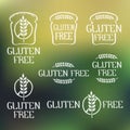 Gluten free- handdrawn logo elements on blurred backdrop. Royalty Free Stock Photo