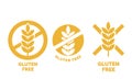 Gluten free label vector wheat cereal icons Royalty Free Stock Photo