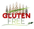 Gluten free message and wheat at the top Royalty Free Stock Photo