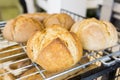 Gluten free round bread Royalty Free Stock Photo