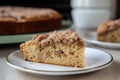 gluten-free and vegan coffee cake, warm from the oven with rich cinnamon flavor